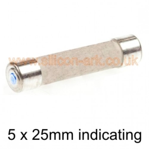 2 Amp 250V indicating fuse (241 series)  5 x 25mm - Wickmann