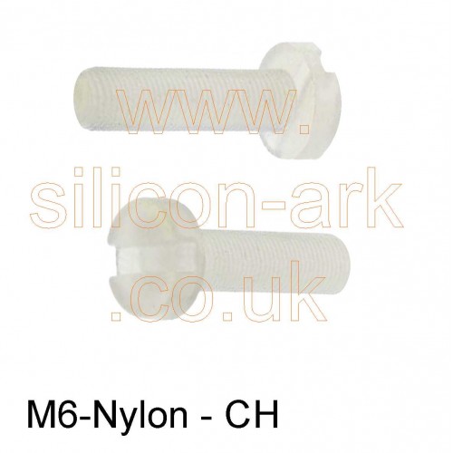 M6 x 30mm Nylon CH HD Screw - RS